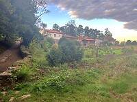 IMG_9242