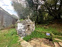 IMG_9243