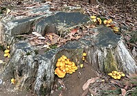 IMG_9246