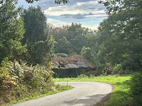 IMG_9249