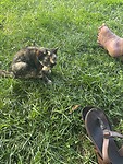 IMG_9265