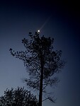 IMG_9273