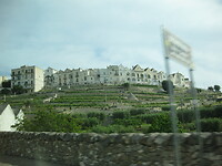IMG_1795