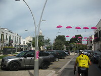 IMG_1797