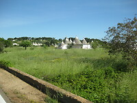 IMG_1806