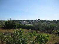 IMG_1807