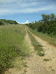 IMG_1811