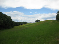 IMG_1885