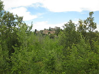 IMG_1886