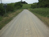 IMG_1891