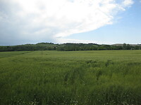 IMG_1893
