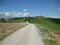 IMG_1894