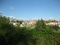 IMG_1895