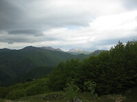 IMG_1926