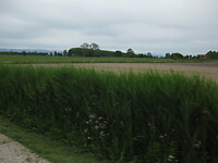 IMG_1945