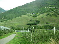 IMG_2000