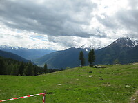 IMG_1993