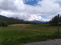 IMG_20250527_153623