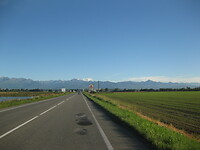 IMG_2006