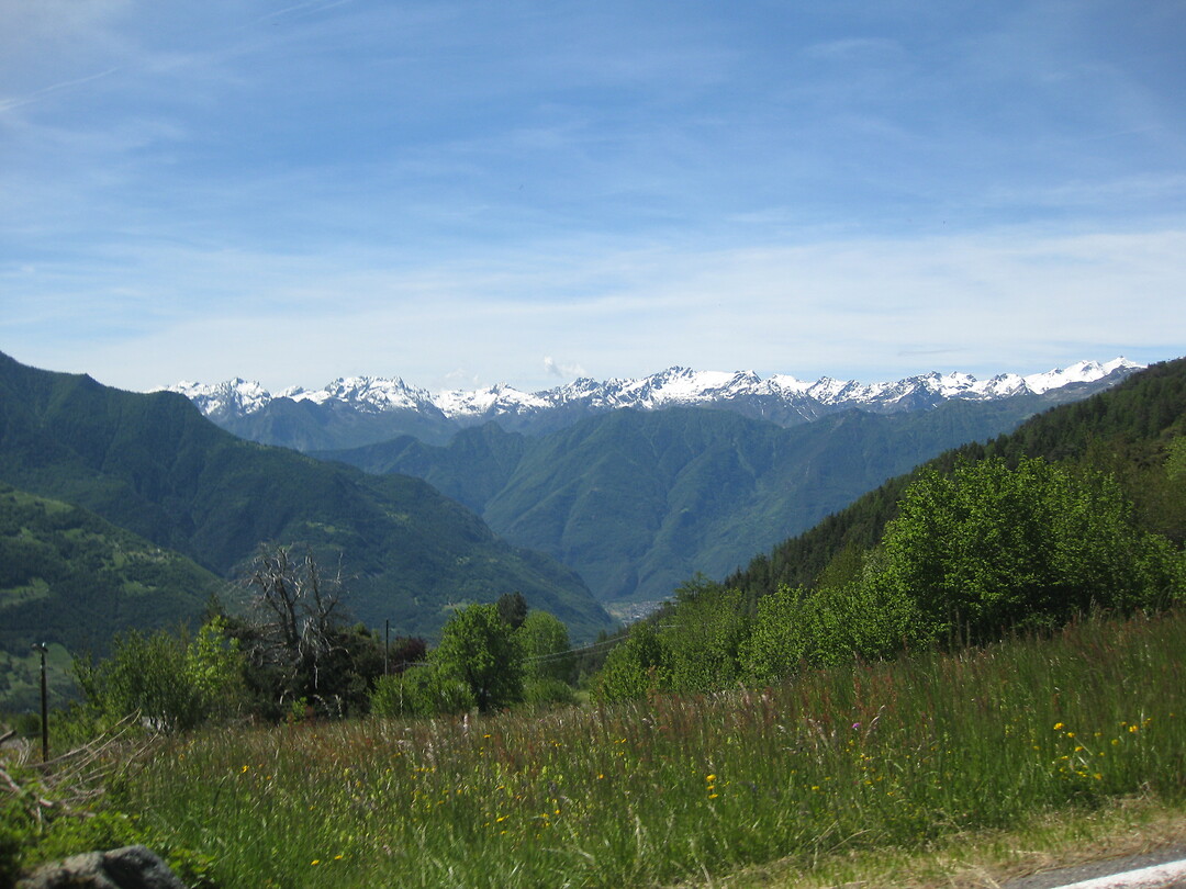 IMG_2010