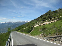 IMG_2012