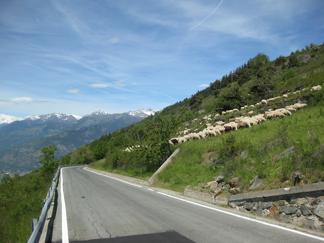 IMG_2012