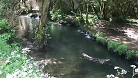 Kleine waterval - relaxing, repeat