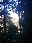 20180923_135045_HDR