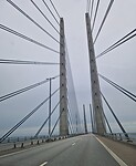 1000090616