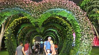 IMG_6201