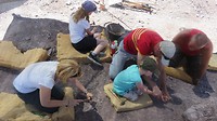 zelf aan het graven, op zoek naar dino-restanten