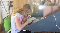 preparen (schoonmaken) van een schildpad