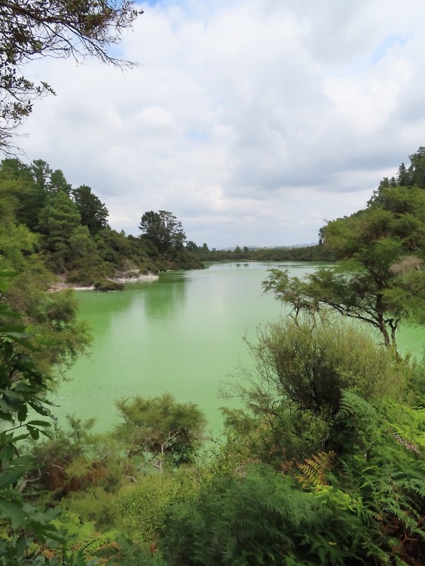 50 tinten groen