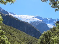Rob Roy