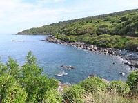 Bluff