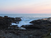Curio Bay
