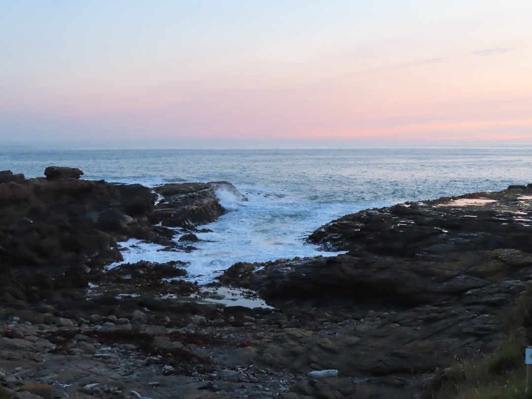 Curio Bay