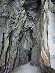 IMG_1662