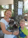 koala-aaien