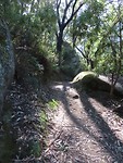 mount Bishop-hike
