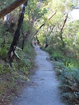 mount Bishop-hike