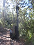 mount Bishop-hike