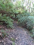 mount Bishop-hike