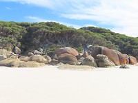 squeaky beach