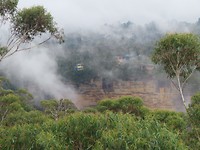 IMG_2576