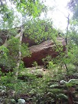 Grand Canyon-hike