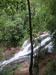 Diner falls