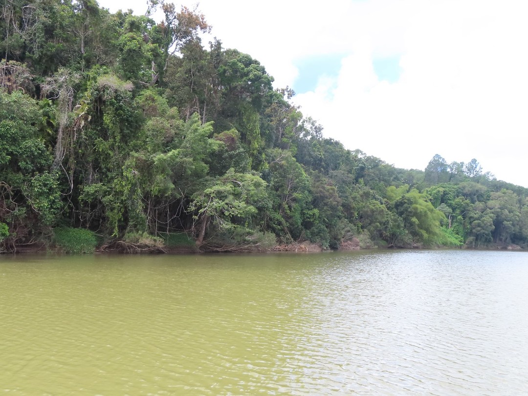 Kuranda river