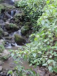 bij de tegenungan waterval
