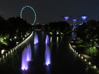 Garden by the Bay